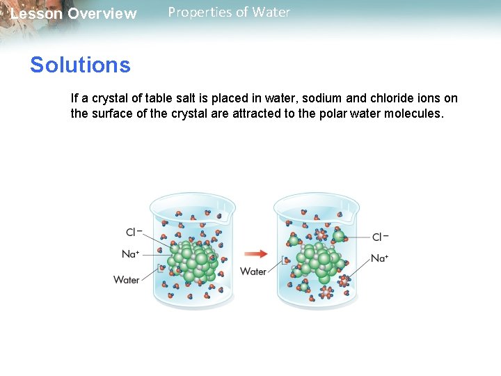Lesson Overview Properties of Water Solutions If a crystal of table salt is placed