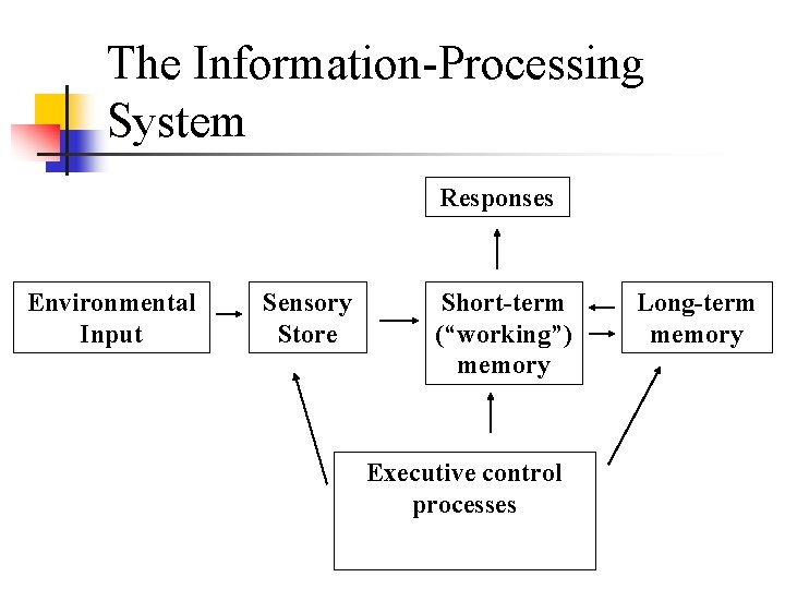 Chapter Eight Cognitive Development Information Processing Perspectives ...