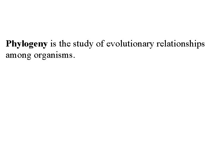 Phylogeny is the study of evolutionary relationships among organisms. 