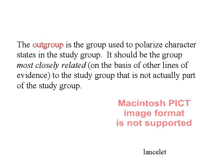 The outgroup is the group used to polarize character states in the study group.