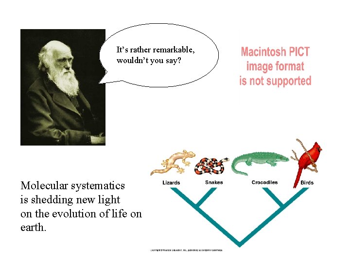 It’s rather remarkable, wouldn’t you say? Molecular systematics is shedding new light on the