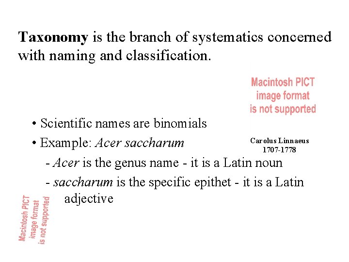 Taxonomy is the branch of systematics concerned with naming and classification. • Scientific names