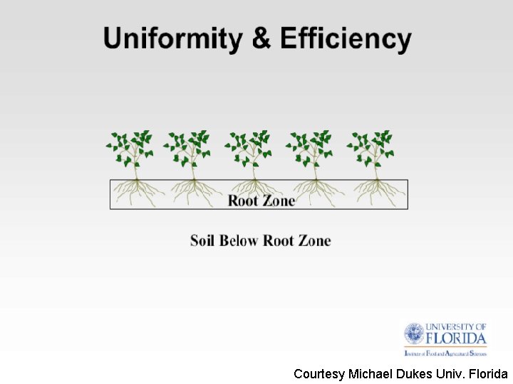 Courtesy Michael Dukes Univ. Florida 