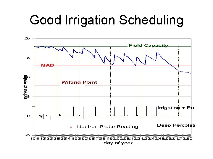Good Irrigation Scheduling 