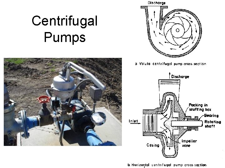 Centrifugal Pumps 