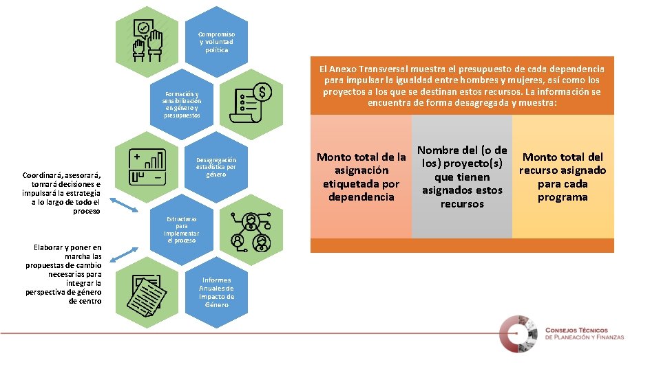 Compromiso y voluntad política Formación y sensibilización en género y presupuestos Coordinará, asesorará, tomará