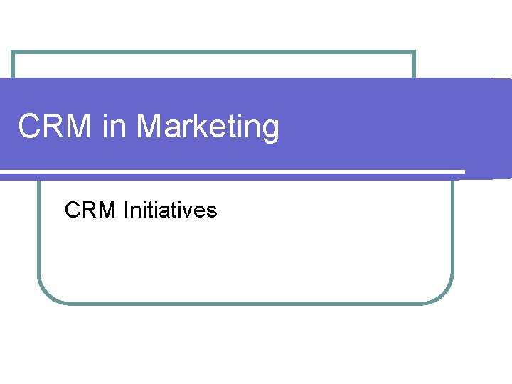 CRM in Marketing CRM Initiatives 