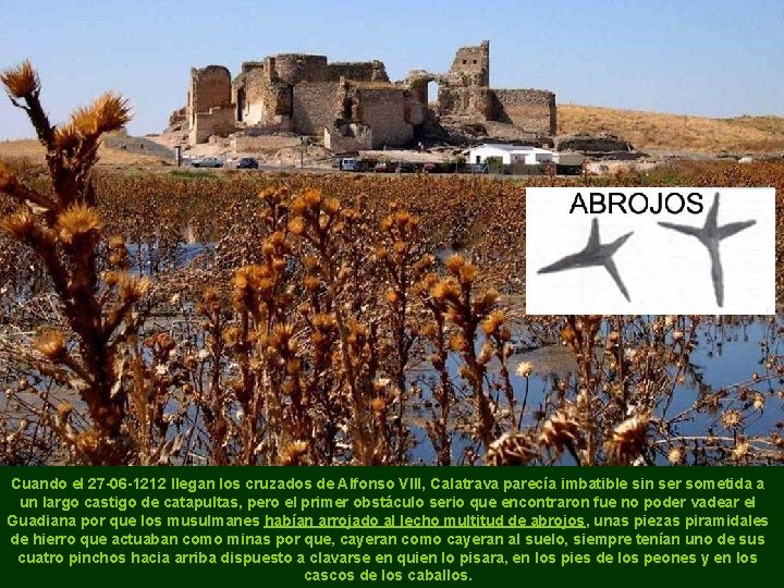 Cuando el 27 -06 -1212 llegan los cruzados de Alfonso VIII, Calatrava parecía imbatible