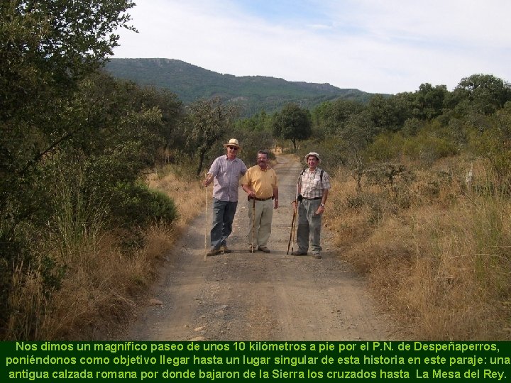 Nos dimos un magnífico paseo de unos 10 kilómetros a pie por el P.