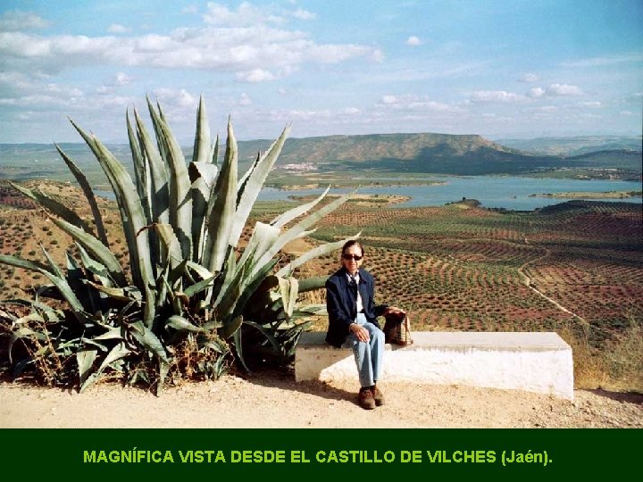MAGNÍFICA VISTA DESDE EL CASTILLO DE VILCHES (Jaén). 
