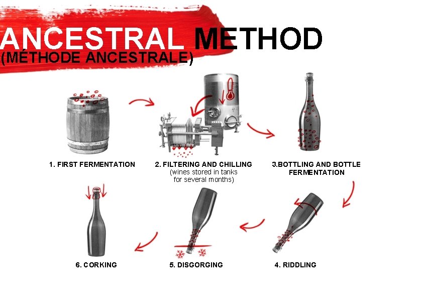 ANCESTRAL METHOD (MÉTHODE ANCESTRALE) 1. FIRST FERMENTATION 6. CORKING 2. FILTERING AND CHILLING (wines