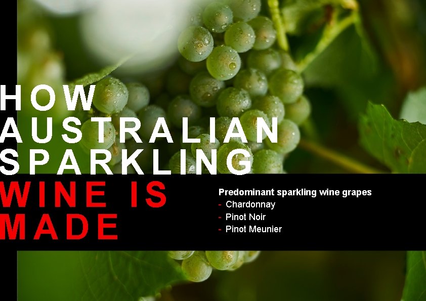 HOW AUSTRALIAN SPARKLING WINE IS MADE Predominant sparkling wine grapes - Chardonnay - Pinot