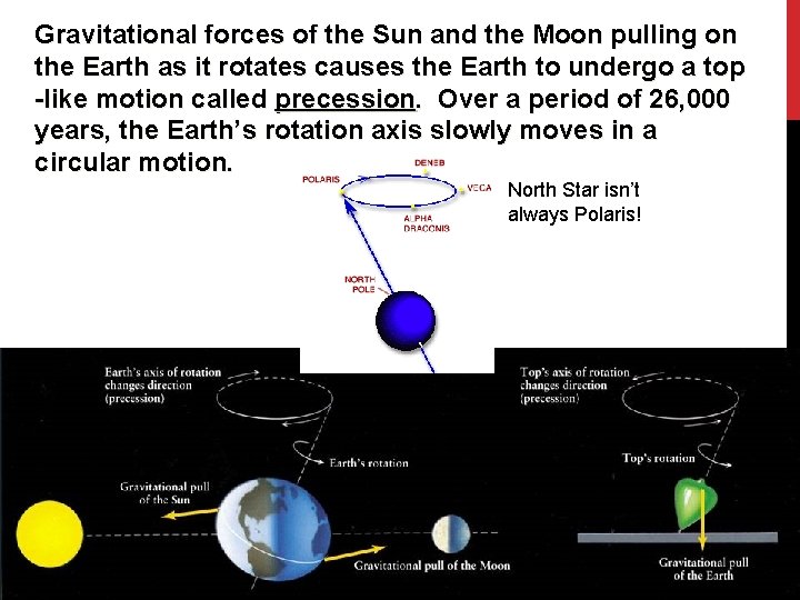 Gravitational forces of the Sun and the Moon pulling on the Earth as it