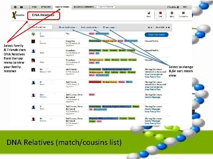 Select Family & Friends then DNA Relatives from the top menu to view your