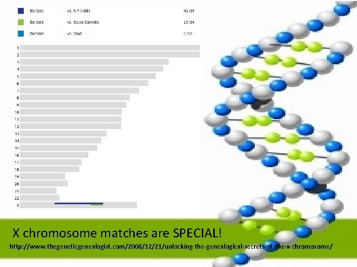 X chromosome matches are SPECIAL! http: //www. thegeneticgenealogist. com/2008/12/21/unlocking-the-genealogical-secrets-of-the-x-chromosome/ 