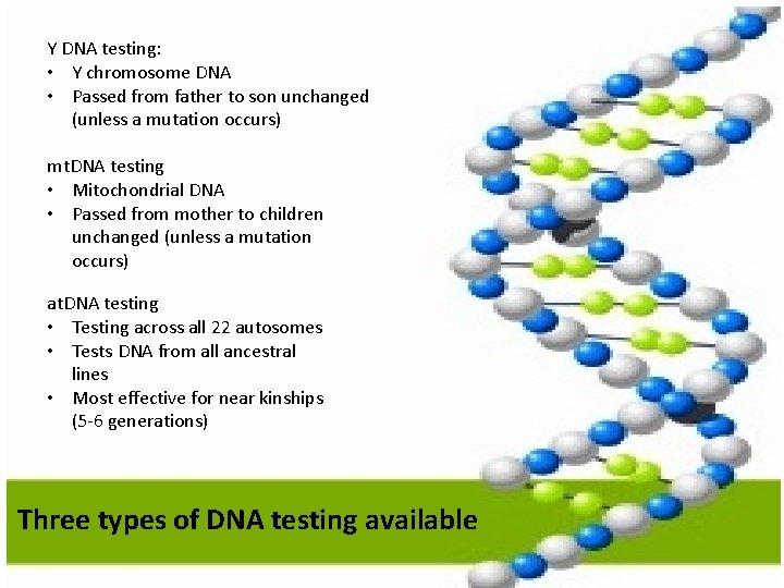 Y DNA testing: • Y chromosome DNA • Passed from father to son unchanged