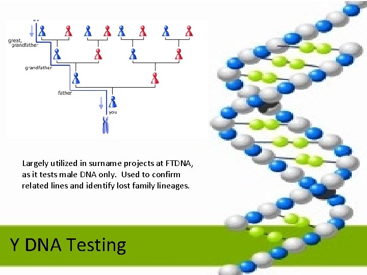 Largely utilized in surname projects at FTDNA, as it tests male DNA only. Used