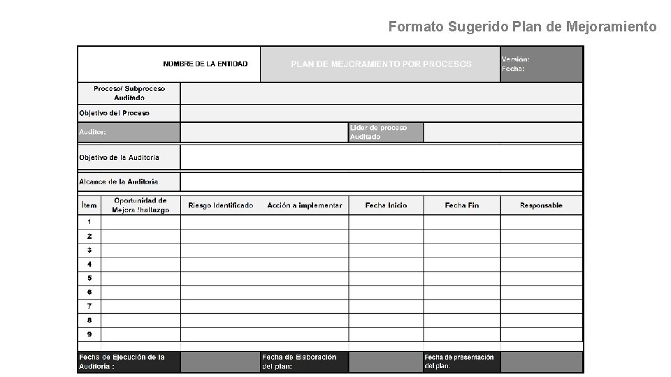 Formato Sugerido Plan de Mejoramiento 