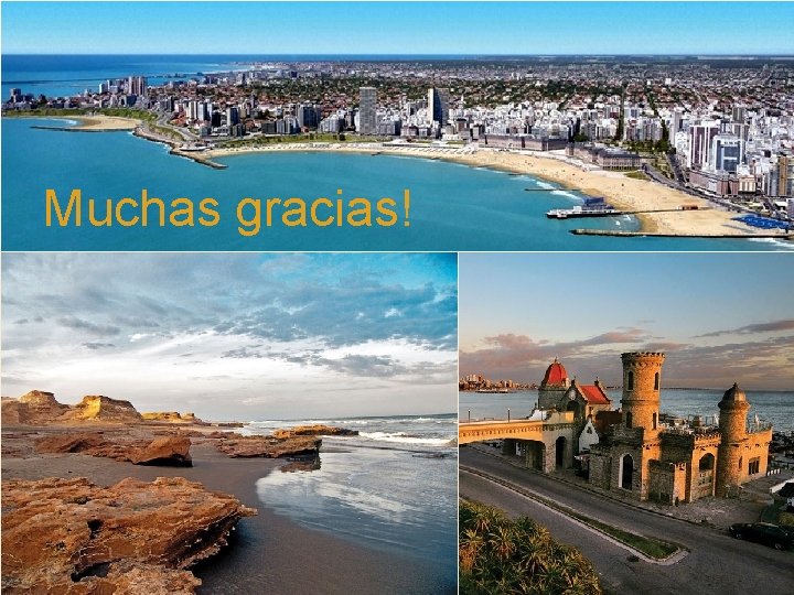 Muchas gracias! 