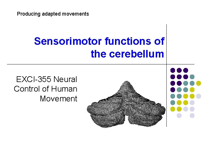 Producing adapted movements Sensorimotor functions of the cerebellum EXCI-355 Neural Control of Human Movement