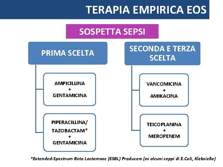 TERAPIA EMPIRICA EOS SOSPETTA SEPSI PRIMA SCELTA SECONDA E TERZA SCELTA AMPICILLINA + GENTAMICINA