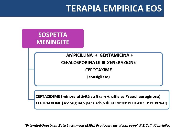 TERAPIA EMPIRICA EOS SOSPETTA MENINGITE AMPICILLINA + GENTAMICINA + CEFALOSPORINA DI III GENERAZIONE CEFOTAXIME