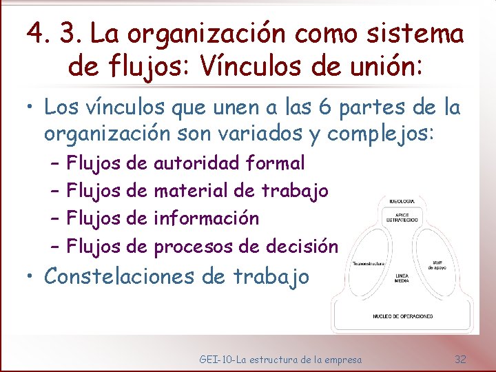 4. 3. La organización como sistema de flujos: Vínculos de unión: • Los vínculos