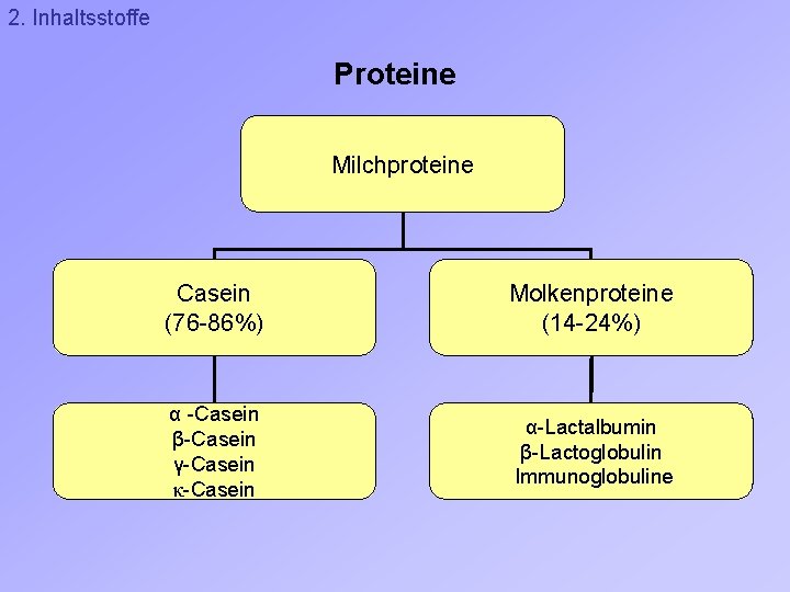 2. Inhaltsstoffe Proteine Milchproteine Casein (76 -86%) Molkenproteine (14 -24%) α -Casein β-Casein γ-Casein