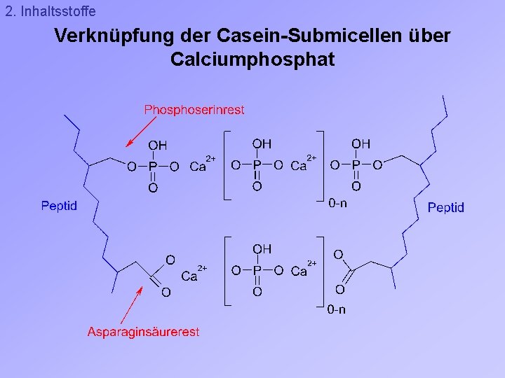 2. Inhaltsstoffe Verknüpfung der Casein-Submicellen über Calciumphosphat 