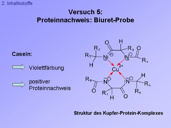 2. Inhaltsstoffe Versuch 5: Proteinnachweis: Biuret-Probe Casein: Violettfärbung positiver Proteinnachweis Struktur des Kupfer-Protein-Komplexes 