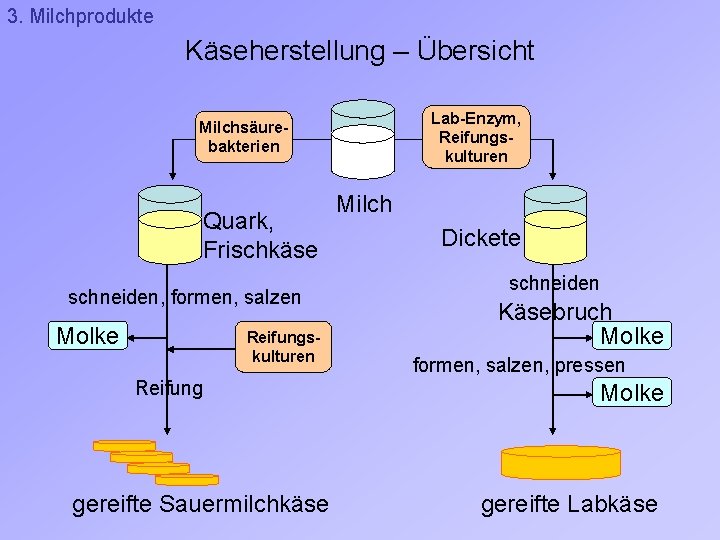 3. Milchprodukte Käseherstellung – Übersicht Lab-Enzym, Reifungskulturen Milchsäurebakterien Quark, Frischkäse schneiden, formen, salzen Molke