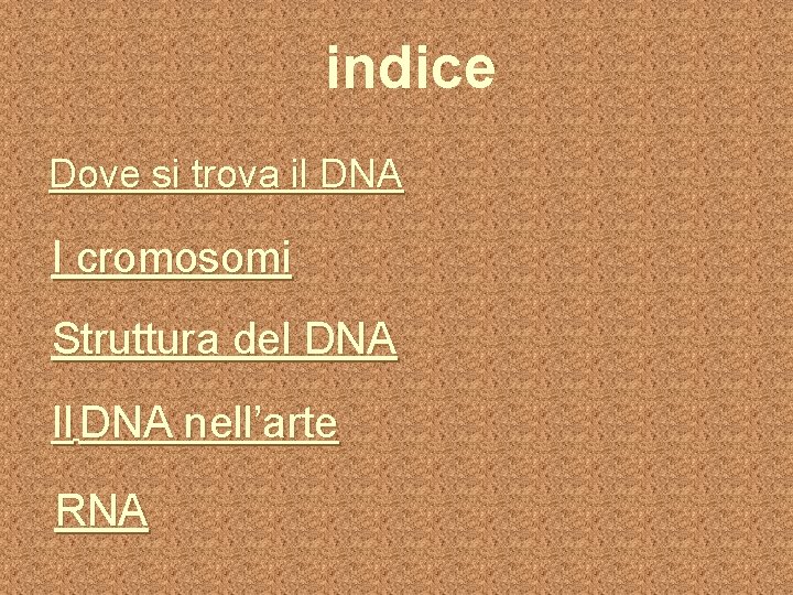 indice Dove si trova il DNA I cromosomi Struttura del DNA Il DNA nell’arte