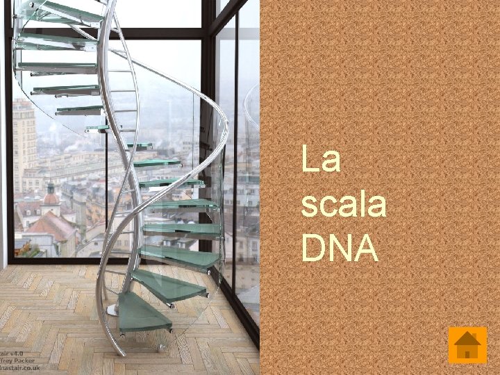 La scala DNA 