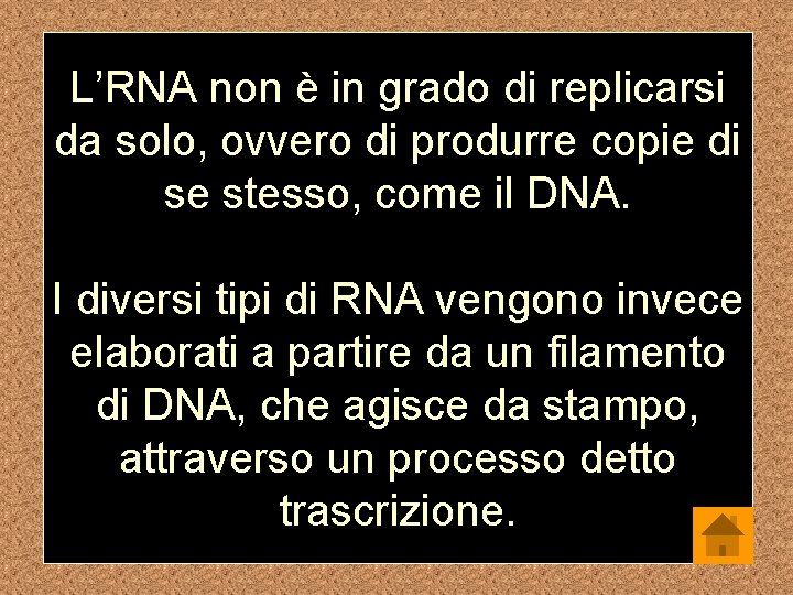 L’RNA non è in grado di replicarsi da solo, ovvero di produrre copie di