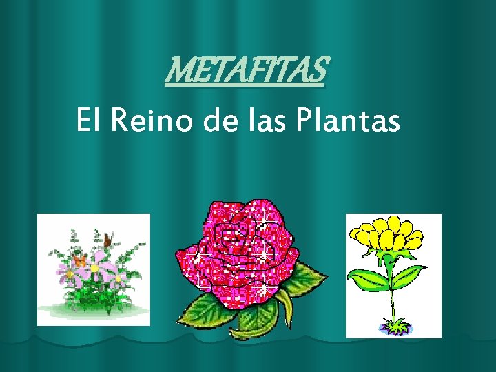 METAFITAS El Reino de las Plantas 