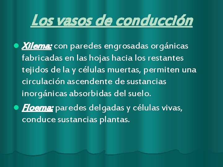 Los vasos de conducción l Xilema: con paredes engrosadas orgánicas fabricadas en las hojas