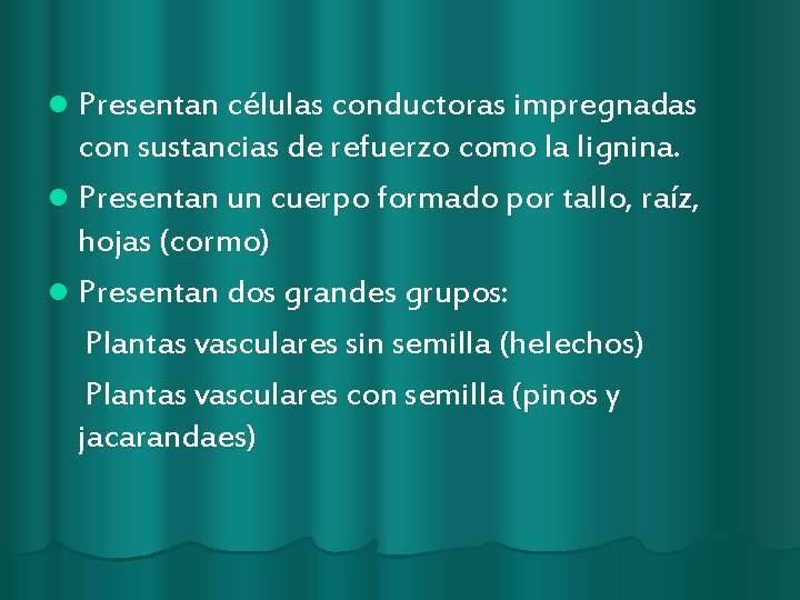 l Presentan células conductoras impregnadas con sustancias de refuerzo como la lignina. l Presentan