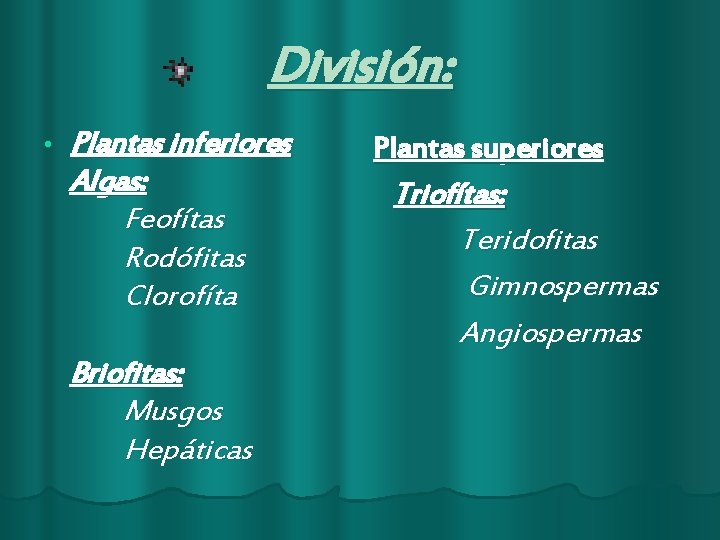 División: • Plantas inferiores Algas: Feofítas Rodófitas Clorofíta Briofitas: Musgos Hepáticas Plantas superiores Triofítas: