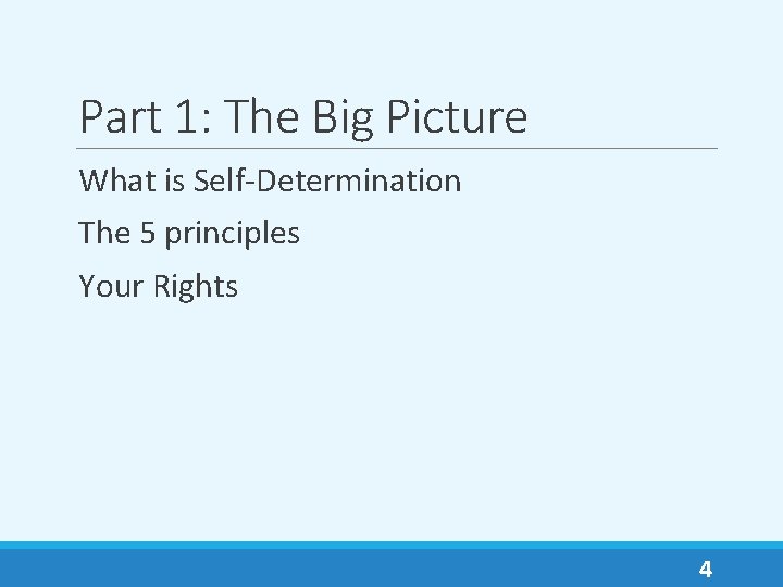 Part 1: The Big Picture What is Self-Determination The 5 principles Your Rights 4