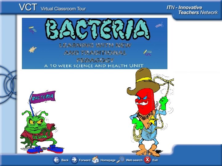 Bacteria 