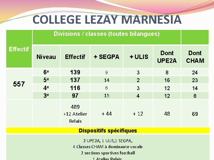 COLLEGE LEZAY MARNESIA Divisions / classes (toutes bilangues) Effectif 557 Niveau Effectif + SEGPA