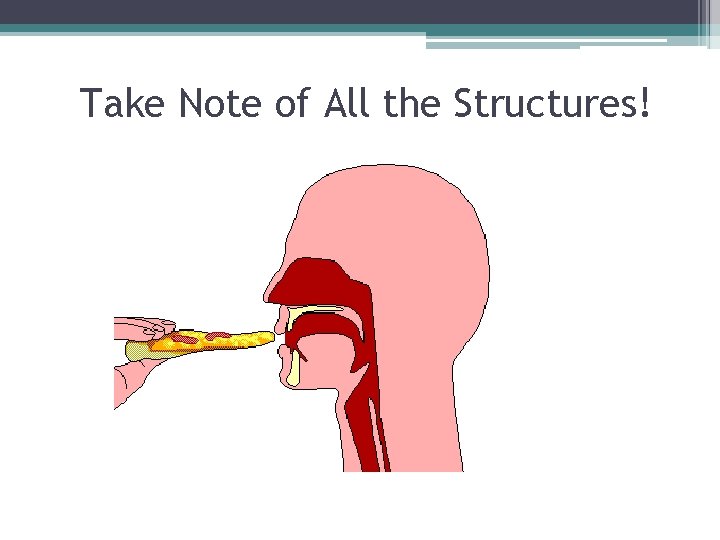 Take Note of All the Structures! Take Note of All the Structures!