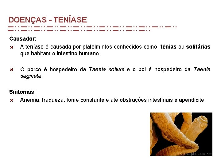 DOENÇAS - TENÍASE Causador: A teníase é causada por platelmintos conhecidos como tênias ou DOENÇAS - TENÍASE Causador: A teníase é causada por platelmintos conhecidos como tênias ou