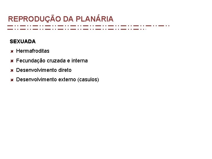 REPRODUÇÃO DA PLANÁRIA SEXUADA Hermafroditas Fecundação cruzada e interna Desenvolvimento direto Desenvolvimento externo (casulos) REPRODUÇÃO DA PLANÁRIA SEXUADA Hermafroditas Fecundação cruzada e interna Desenvolvimento direto Desenvolvimento externo (casulos)