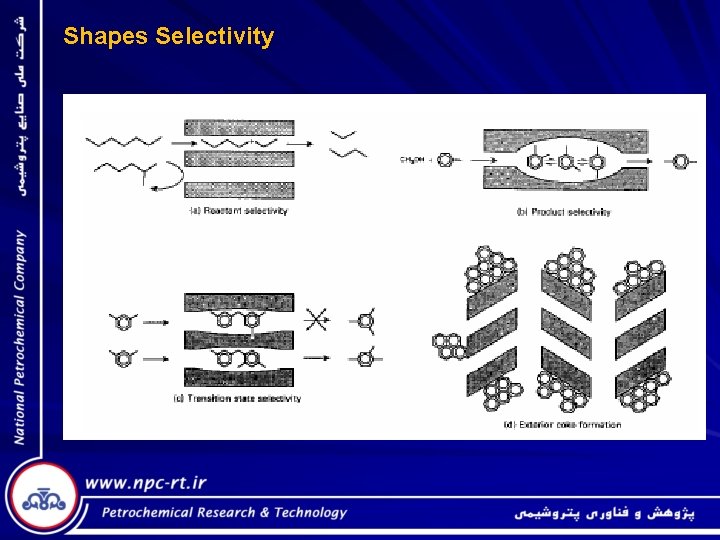 Shapes Selectivity 
