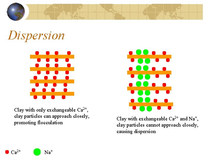 Dispersion Clay with only exchangeable Ca 2+, clay particles can approach closely, promoting flocculation