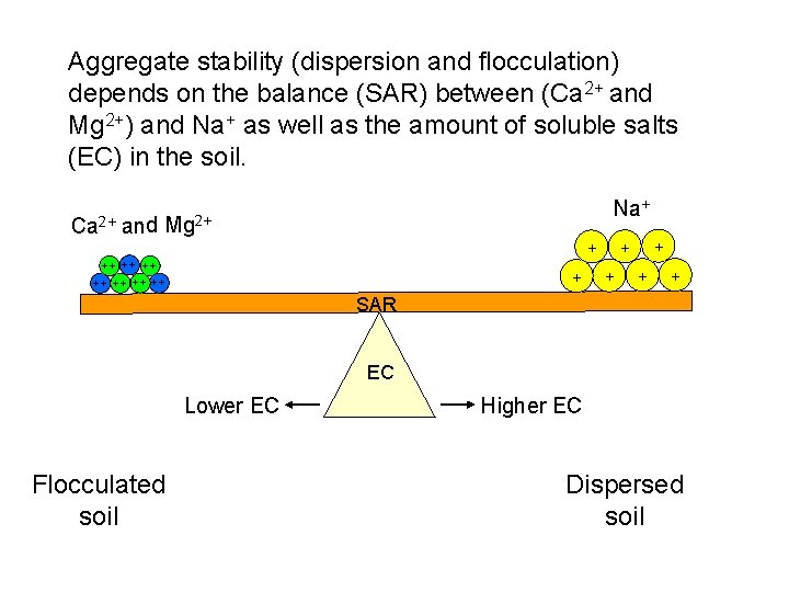 Aggregate stability (dispersion and flocculation) depends on the balance (SAR) between (Ca 2+ and