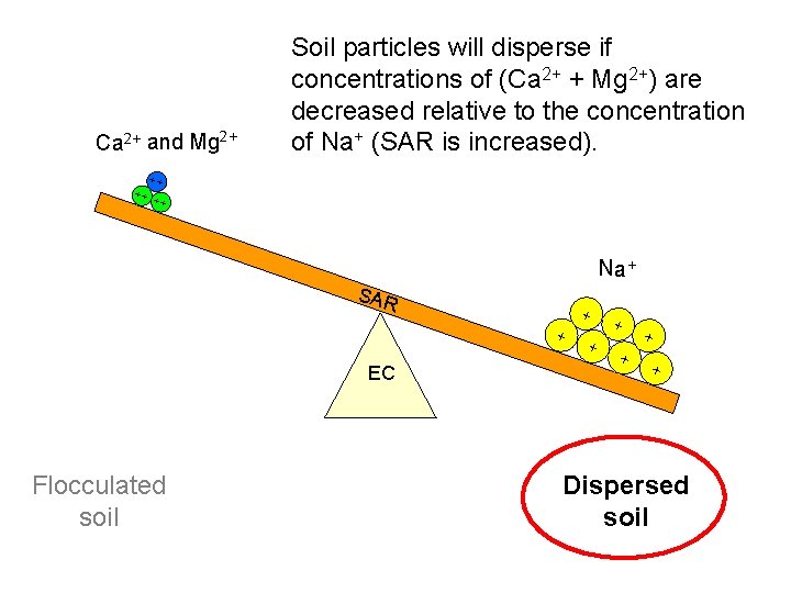 Ca 2+ and Mg 2+ Soil particles will disperse if concentrations of (Ca 2+