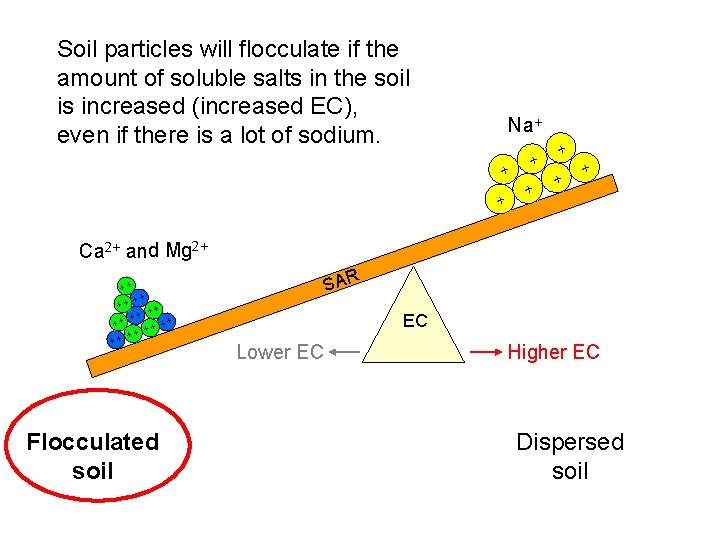 Soil particles will flocculate if the amount of soluble salts in the soil is