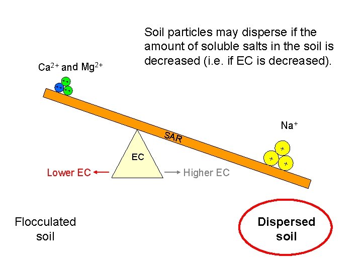Ca 2+ and Mg 2+ Soil particles may disperse if the amount of soluble